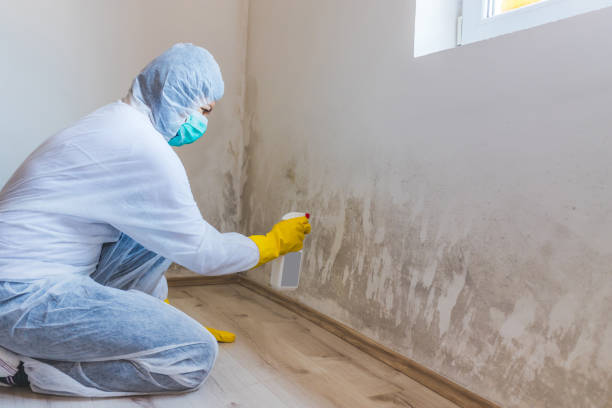 Licensed Mold Testing service in Viewtown, VA - WQB Mold Removal